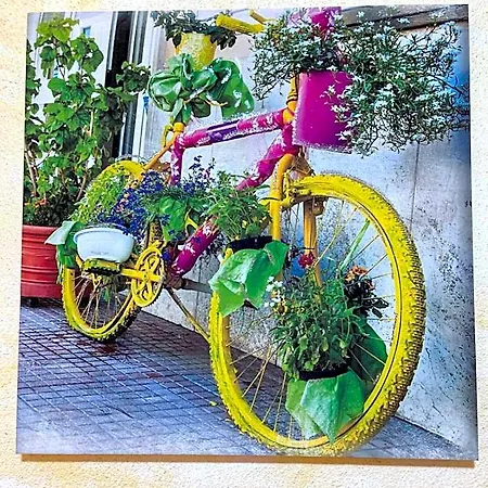 L'arcobaleno بورتو توريس
